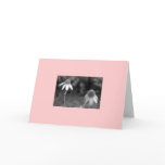 "Echinacea #2" Greeting Card
