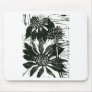 Echinacea - block print mouse pads