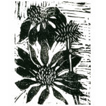 Echinacea - block print t-shirts