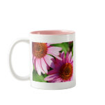 Echinacea Coffee Mug