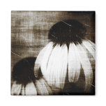 Echinacea Dark Dreams Refrigerator Magnets