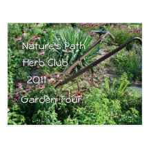Echinacea Herb Garden Postcard- customise