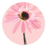 Echinacea purpurea stickers