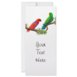 Eclectus Birds Rack Card