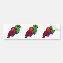 Eclectus Pair Bumper Stickers