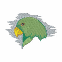 Eclectus Parrot