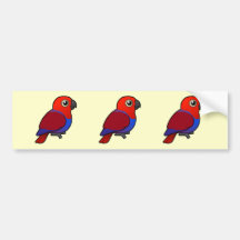Eclectus Parrot female Bumper Sticker
