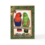 Eclectus Parrots Christmas Card