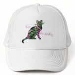Eco Friendly Cat Hat