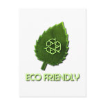 Eco Friendly Postcard