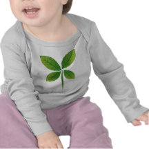 ECO T SHIRTS