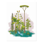 Ecology : plant a tree - postcard