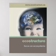 Ecostructure Financial Print