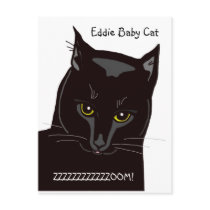Eddie Baby Cat Postcard