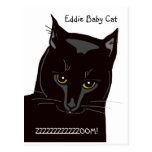 Eddie Baby Cat Postcard