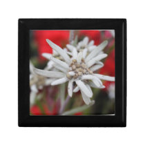 Edelweiss Keepsake Boxes