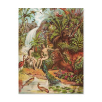 Eden Adam And Eve In The Garden Postcards
