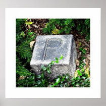 EDGAR ALLAN POE FOOT MARKER LARGE POSTER