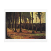 Edge of a Wood, Vincent van Gogh Postcard