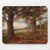 Edge of Sherwood Forest