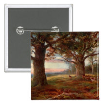 Edge of Sherwood Forest Pins