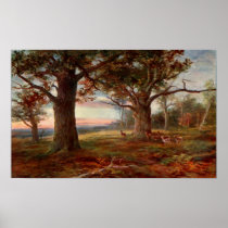 Edge of Sherwood Forest