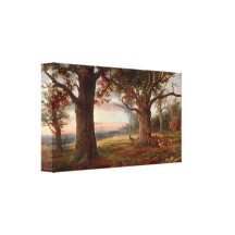 Edge of Sherwood Forest Stretched Canvas Print