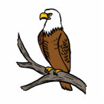 Edmund Eagle photo sculptures