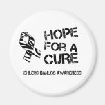 EDS Hope for a Cure Zebra Stripe Ribbon Magnet