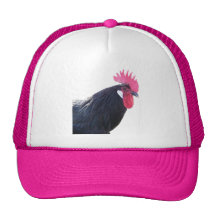 Eduardo the Andalusian Rooster Trucker Hats