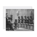Educated Dogs invitations