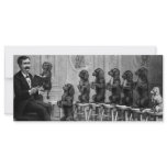 Educated Dogs rack cards