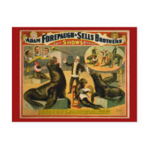 Educated Sea Lions and Seals Circus Poster