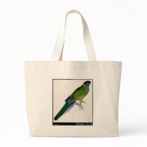 Edward Lear's Bauer’s Parakeet Bag