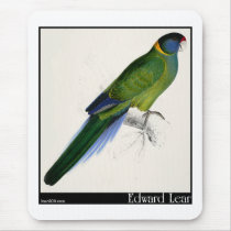 Edward Lear's Bauer’s Parakeet Mouse Pads