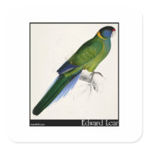 Edward Lear's Bauer’s Parakeet Stickers