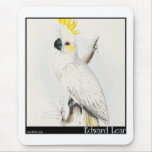 Edward Lear's Lesser Sulphur-Crested Cockatoo mousepads