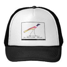 Edward Lear's Runcible Bird Mesh Hats