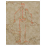 Edward Low Map #3 flyers