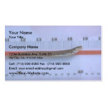 Eelpout Business Card Template
