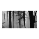 EERIE FOREST TREES LEAVES B&W photo cards