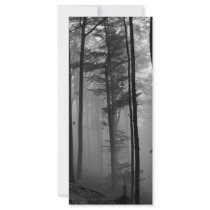 EERIE FOREST TREES LEAVES B&W