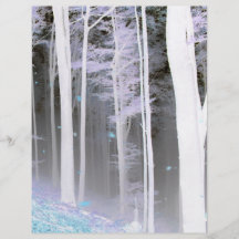 EERIE FOREST TREES LEAVES COLOR NEGATIVE FULL COLOR FLYER