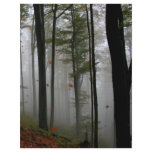EERIE FOREST TREES LEAVES FULL FALL COLORS flyers