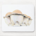 Egg Carton Mousepad