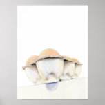Egg Carton Poster posters