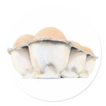 Egg Carton Sticker