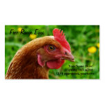 Egg Farm Rhode Island Red Hen  Business Cards