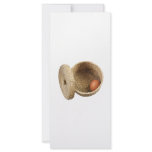 Egg in basket rack cards