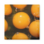 Egg magnets